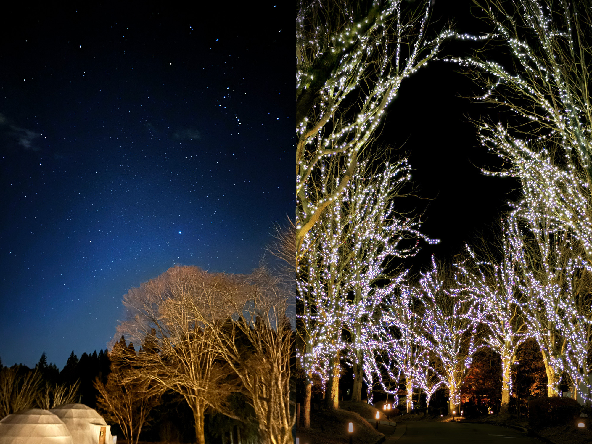 星空&イルミネーション