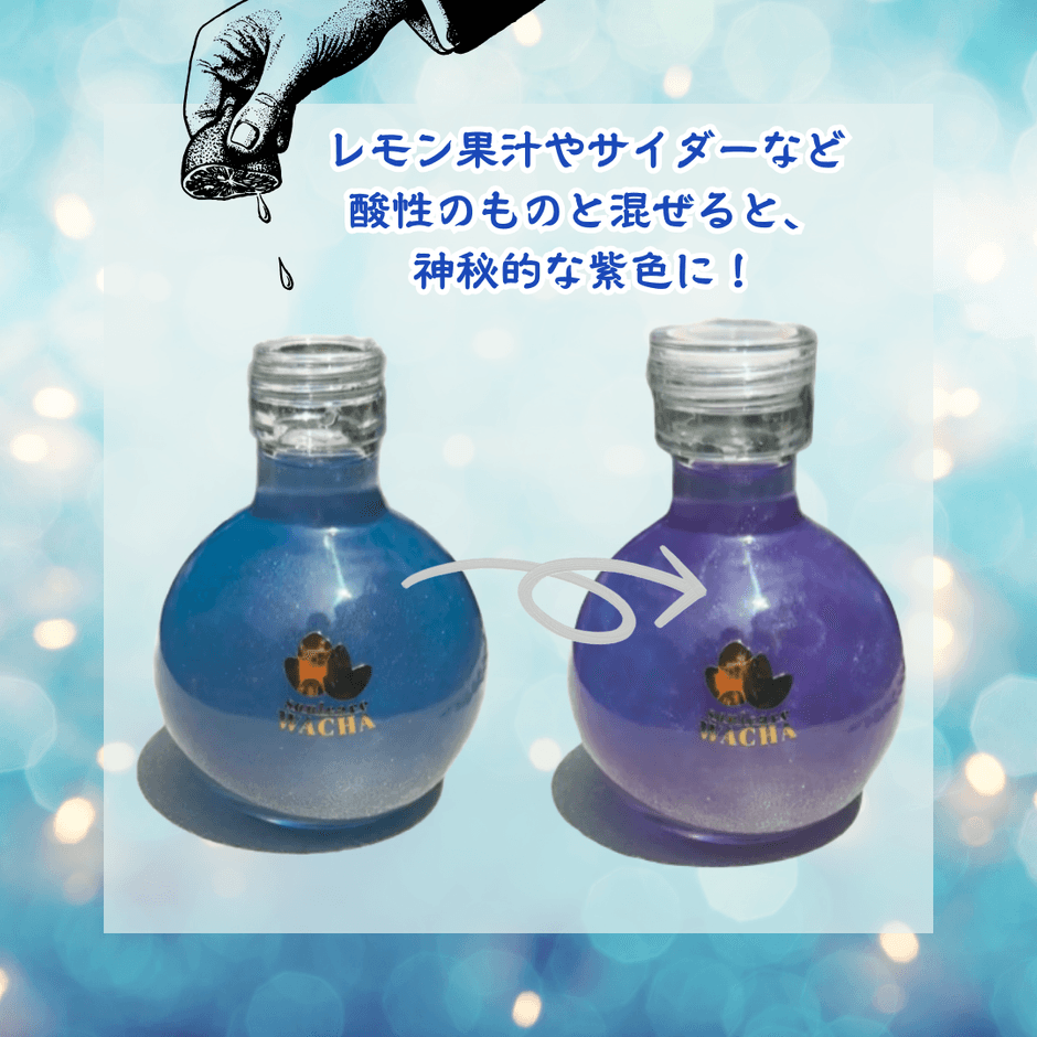 ＜ブルーからパープルへの大胆な色変化＞