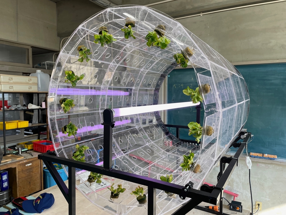 ドラム型水耕栽培装置