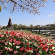 mitsukophoto撮影場所：浮間公園