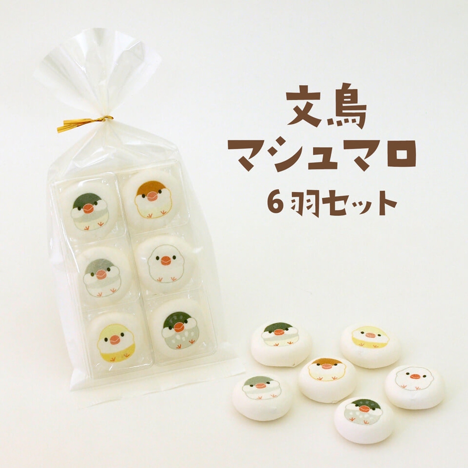 文鳥マシュマロ 6羽セット