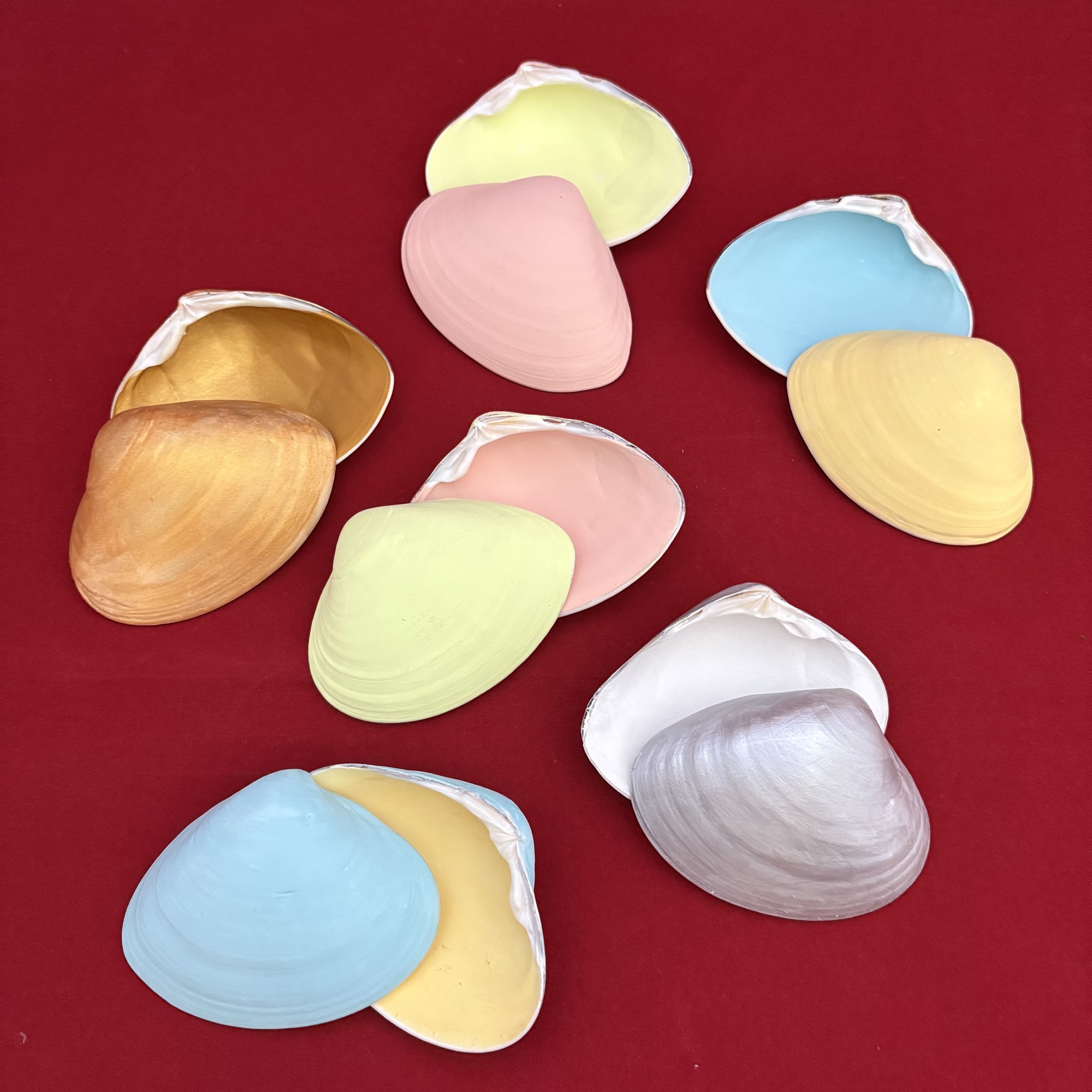 しあわせになれる貝 楽天市場】二枚貝 貝殻 ピンク 夏 マリン 海 サマー 夏休み 6set迄ゆう