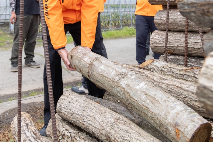 1本20kgほどの原木を手作業で運び出す重労働