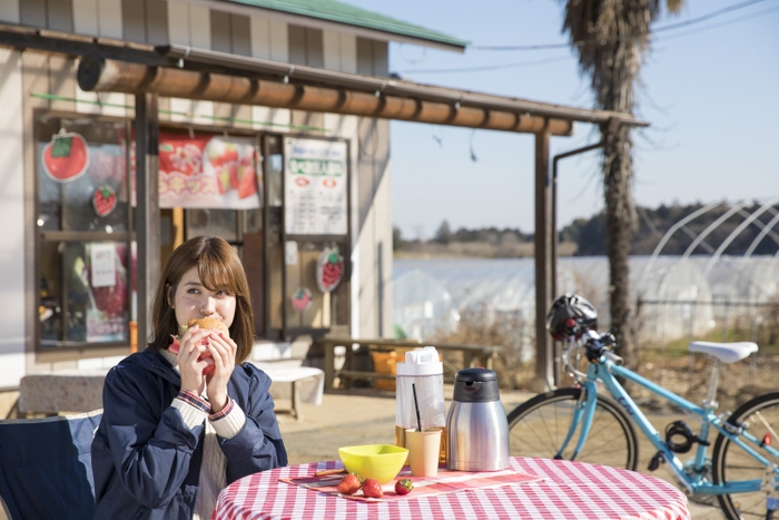 旬の味覚満載の昼食