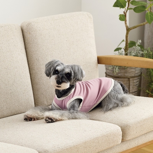 LaLaRelaxベーシック