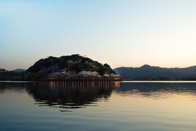 艸花からの眺め。