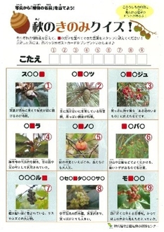 植物クイズ