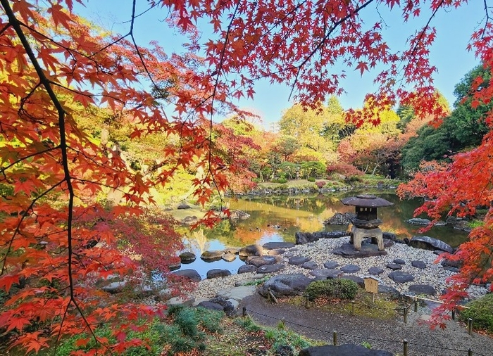 雪見灯篭と池回りの紅葉（過去の様子）