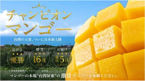 チャンピオンマンゴー × かき氷名店7選！ Makuakeで2,596％達成、伊勢丹でも話題の 極甘フルーツを使用したコラボかき氷を期間限定で提供開始