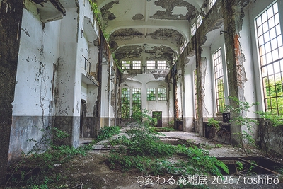 展示作品：toshibo