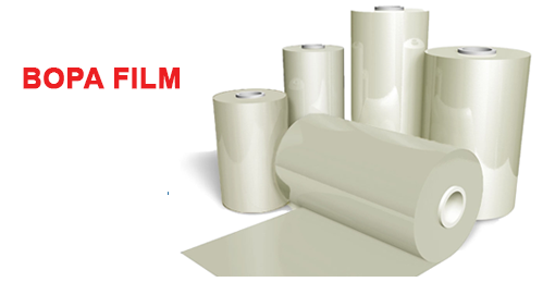 二軸延伸ナイロン(BOPA)フィルム調査レポート：市場規模、シェア、動向、予測2026-2032