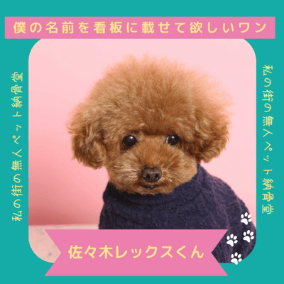ペットモデルにいかが?