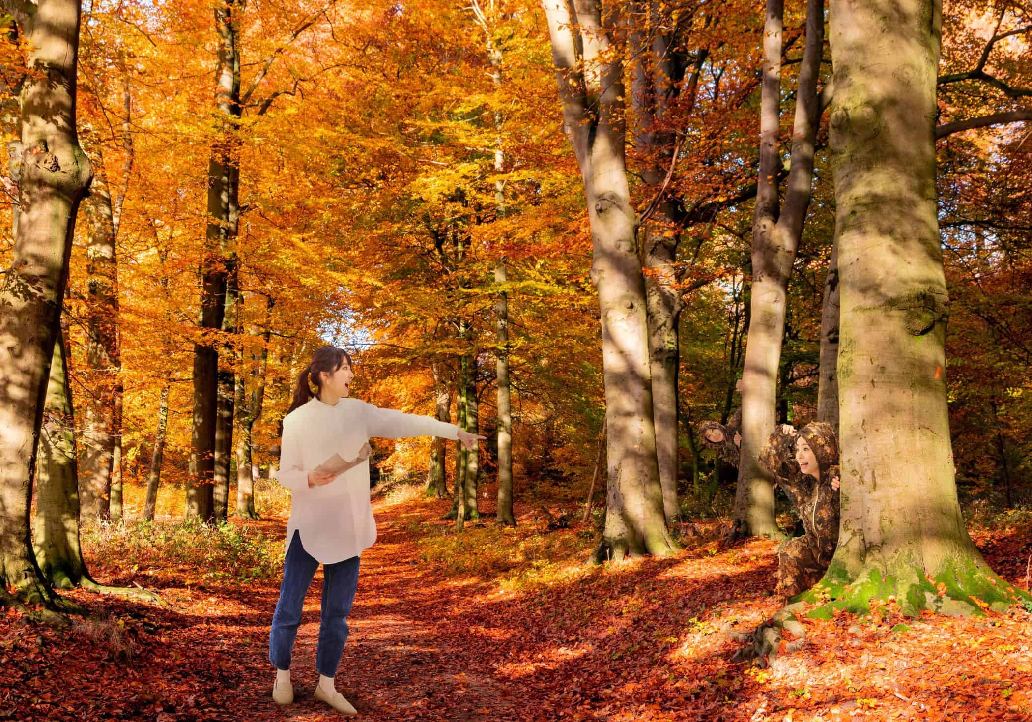 【BEB5軽井沢】もみじがいっぱいに広がったお部屋で宿泊できる、思う存分紅葉を満喫できる宿泊プラン「BEB 全力紅葉ステイ」販売 ~紅葉の森でもみじ柄のギリースーツを着てかくれんぼ~|期間:2022年10月17日~11月13日