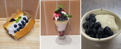 左から米粉の自家製ふわもちシフォンサンド～長野県産ブルーベリー～単品750円（みのりカフェ銀座三越）／長野県産ブルーベリーとレアチーズのDXパフェ1,490円（みのる食堂銀座三越） ／信州牛乳杏仁豆腐の長野県産ブルーベリーのせ　429円（和牛焼肉信州そだち）※7月7日～提供