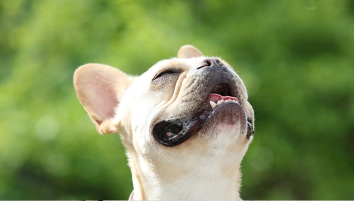 大切な家族と、いっしょにたのしめる“おやつの時間”を。