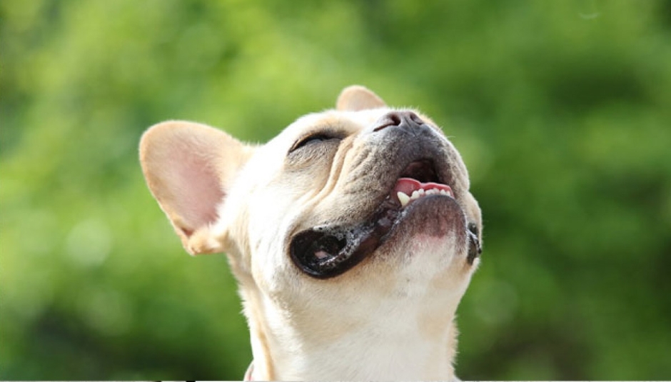 大切な家族と、いっしょにたのしめる“おやつの時間”を。