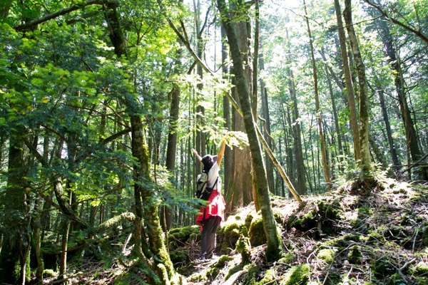 当施設で体験できる青木ヶ原樹海ツアーツアー