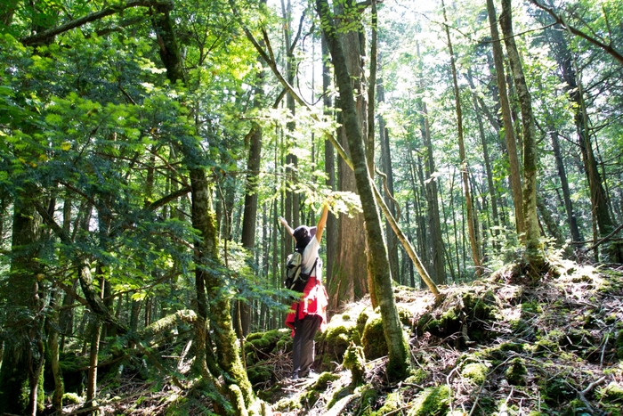 当施設で体験できる青木ヶ原樹海ツアーツアー