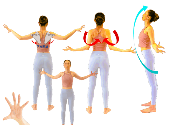 たった10秒で姿勢・動作改善の「ガォ体操」