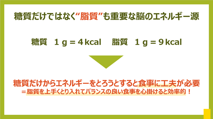 脂質も重要なエネルギー源