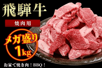 飛騨牛 メガ盛り 焼肉用１ｋｇ