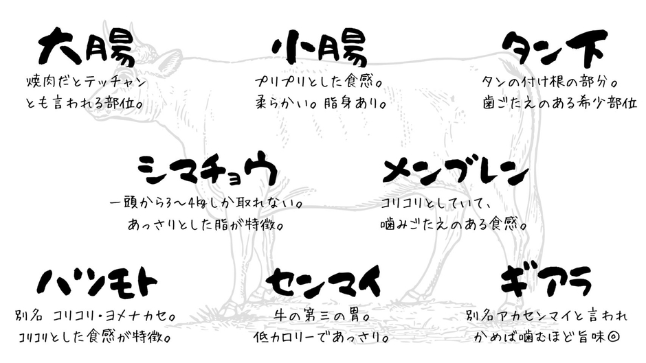 豪華8種のホルモン