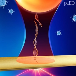 ＜徳島大学研究、簡便・迅速な新型コロナウイルス検出法を開発＞