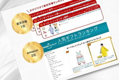 販売の実績