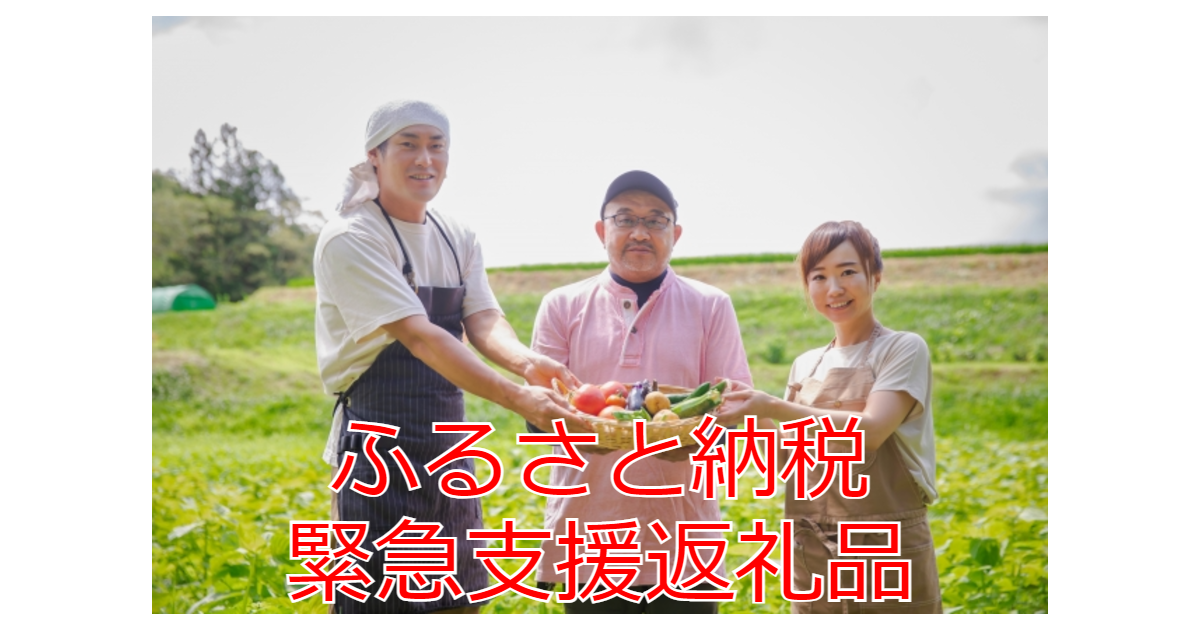 【2021年2月】ふるさと納税でもらえるおすすめの「緊急支援品」5つを紹介！