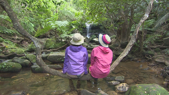 『自然満喫！おーりとーり沖縄八重山諸島』