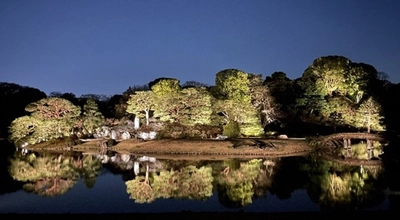 春夜の六義園 園内ライトアップ！『夜間特別観賞』【3/16（土）～3/24（日）開催】