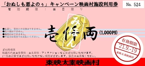 村内でご利用いただける「施設利用券」（見本）