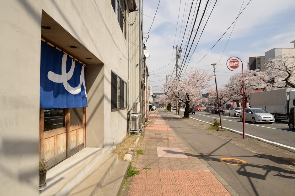 桜の季節 社屋前
