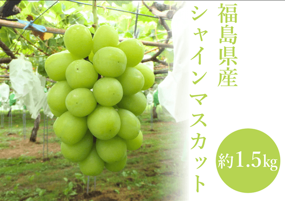福島県産シャインマスカット