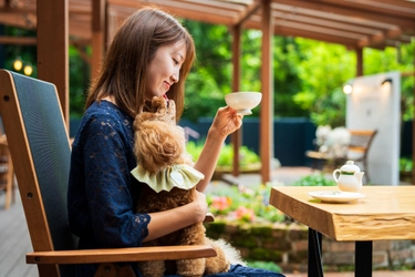 愛犬との別府旅がもっと便利に　カフェ＆屋内ドッグランの日帰り利用を開始｜2026年9月1日より
