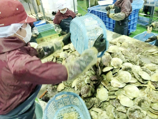 コロナ禍で需要減の農林水産物生産者を救う　 販路多様化緊急対策事業参画イベント送料無料キャンペーンを開催 　期間：2021年9月30日まで