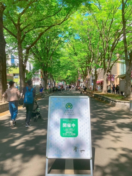 けやき並木通りでの府中ストリートテラス