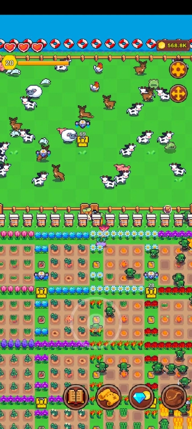 アイランドライフ(6)