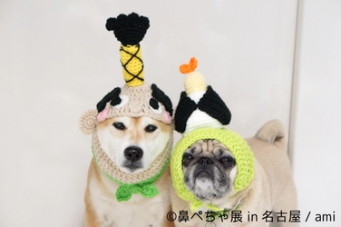 “鼻ぺちゃ犬”が名古屋きたる！ 来場者数ついに2万人突破の写真展企画12/8～12/24開催
