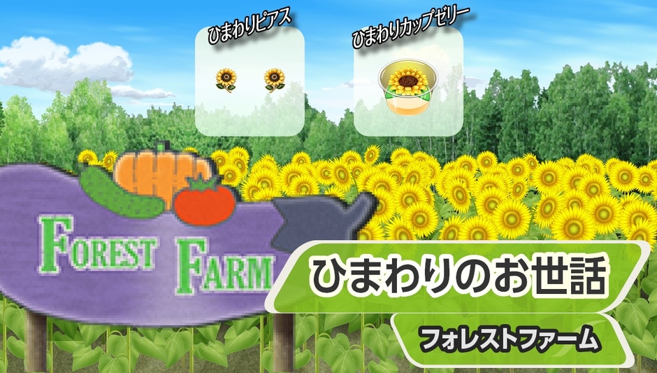 『ひまわりのお世話』