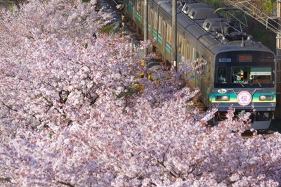 行田市内で撮影された第22回秩父鉄道写真コンテスト入賞作品　イメージ1