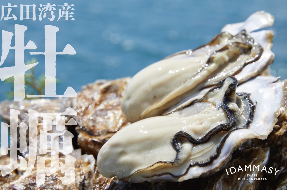 広田湾産牡蠣1