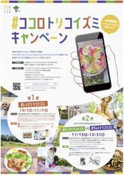 和泉市食材を使ったレシピ投稿で おうち時間応援グッズをプレゼント！ 和泉市「#ココロトリコイズミ」キャンペーン開催！
