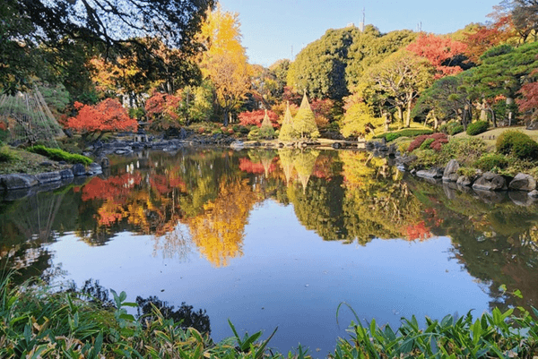 心字池に映る紅葉と雪吊り