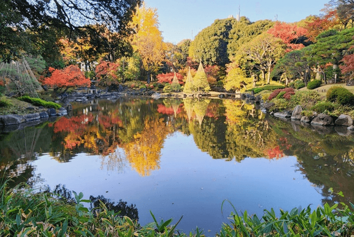 心字池に映る紅葉と雪吊り