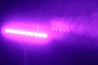 ブラックライトで宝探しもできる!