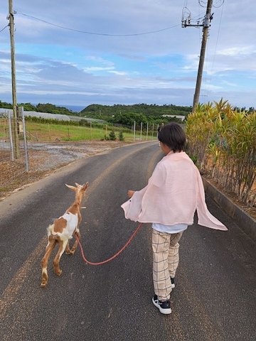 やぎさんとお散歩中！