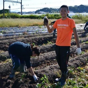 関連実習の様子（金時いもの収穫）