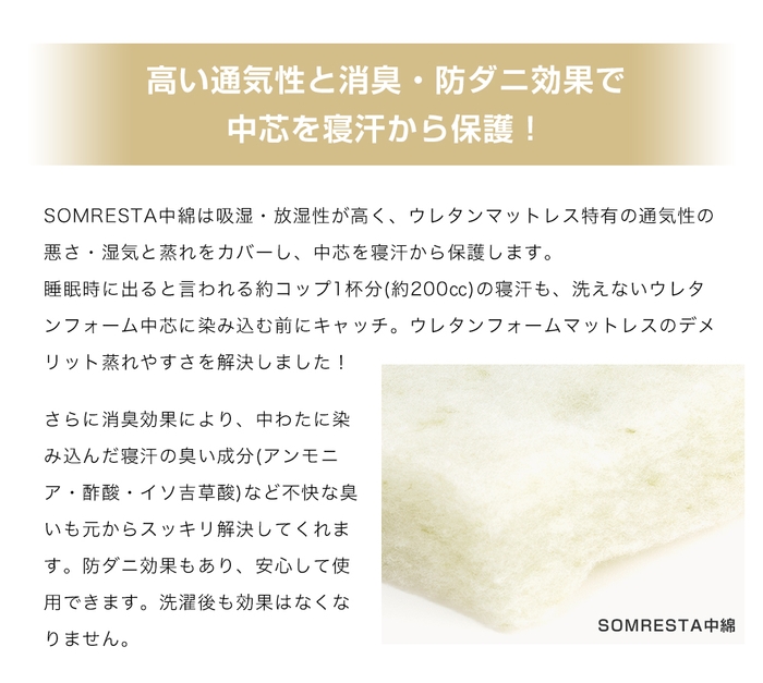 (10)SOMRESTA(TM)中綿