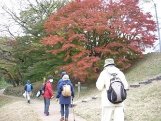 紅葉の長沼・平山城址公園を歩こう　11月26日（土）